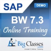 sap bw online course