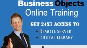 learn sap bo online course
